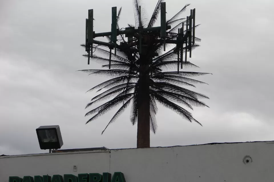 Cell Tower, MonoPalm, Los Angeles